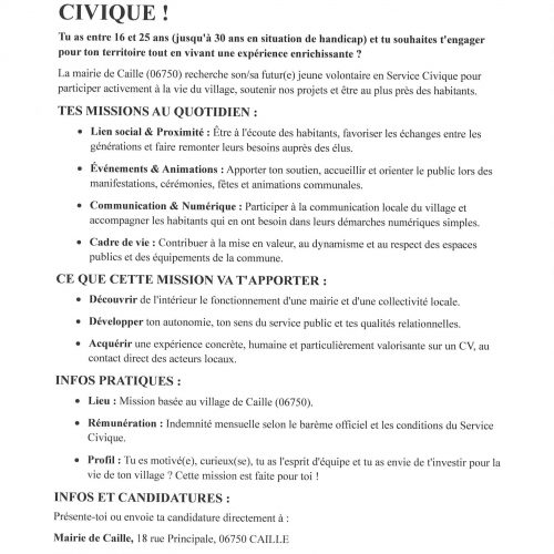 Service civique