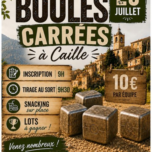 affiche boules carrees
